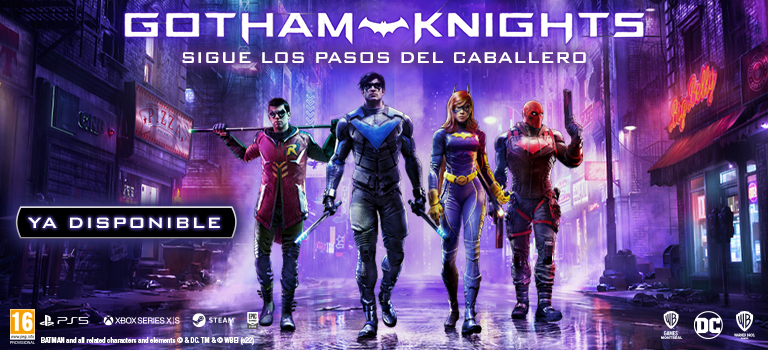 Gotham Knights Banner