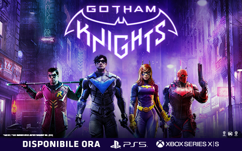 Gotham Knights Banner
