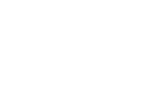 Warriors and Wee Wonder