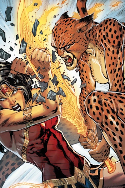Wonder Woman vs. The Cheetah