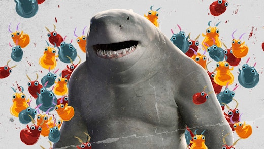 Get to Know! King Shark