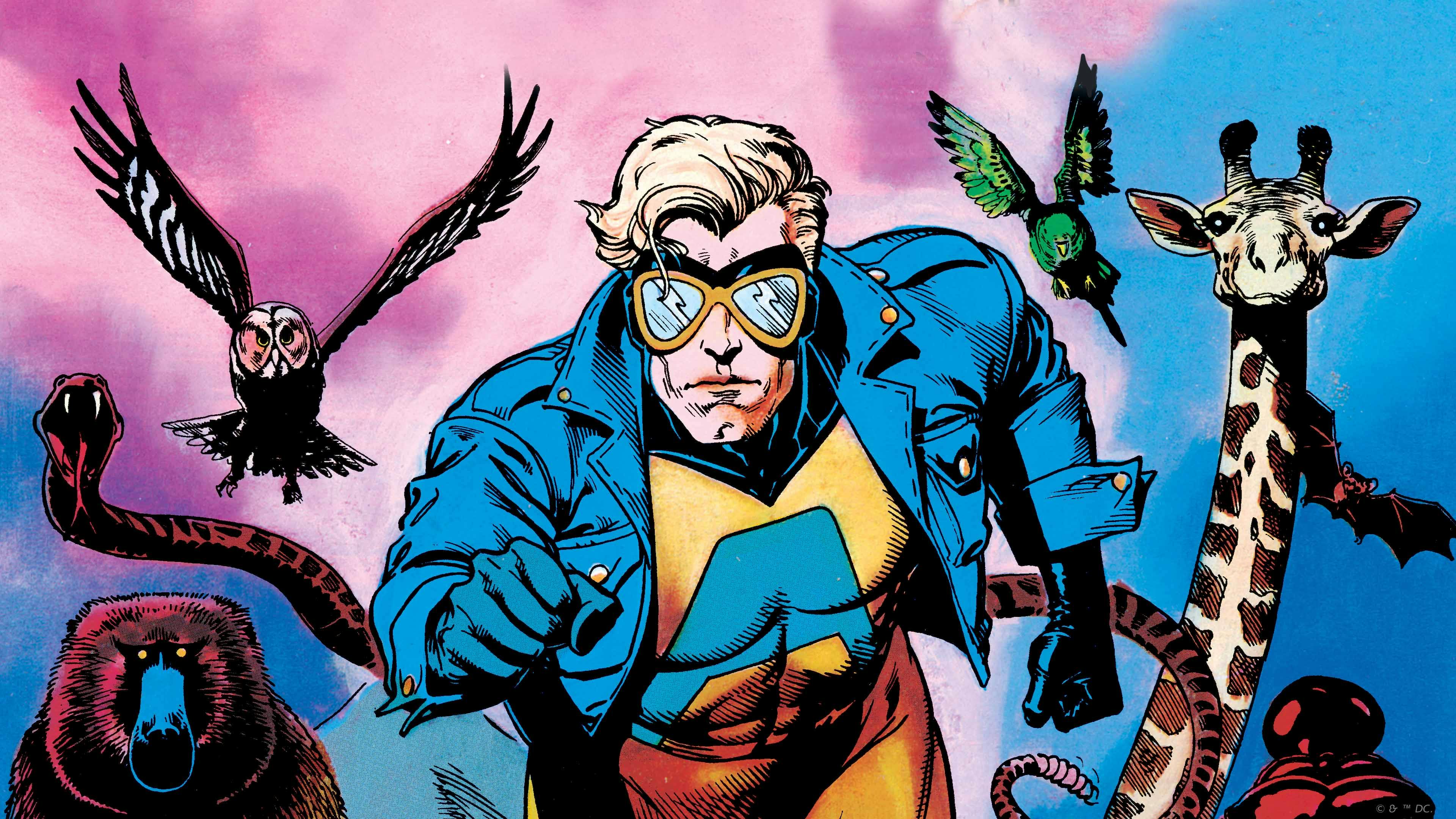 Get to Know! Animal Man