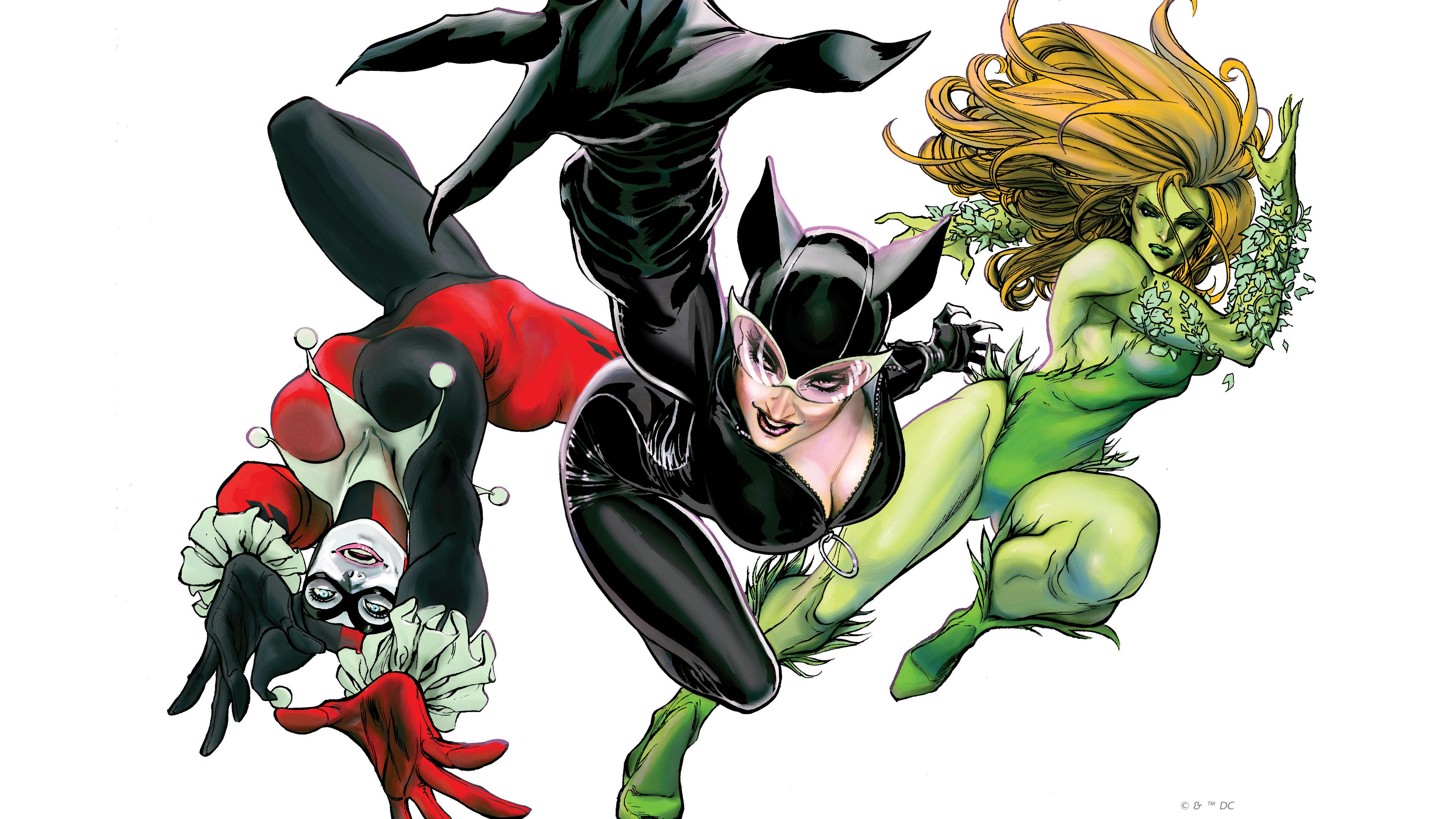 Gotham City Sirens: Division