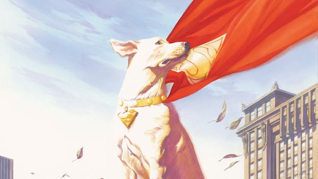 Get to Know! Krypto