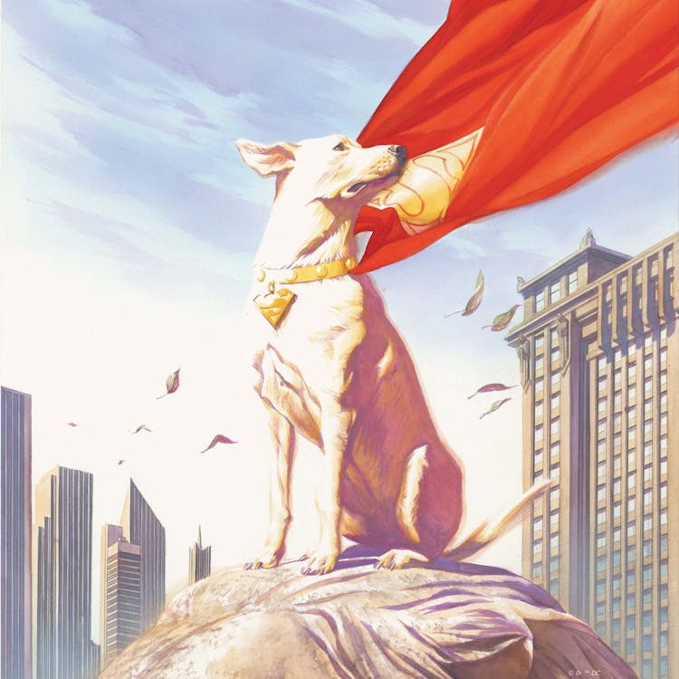Get to Know! Krypto