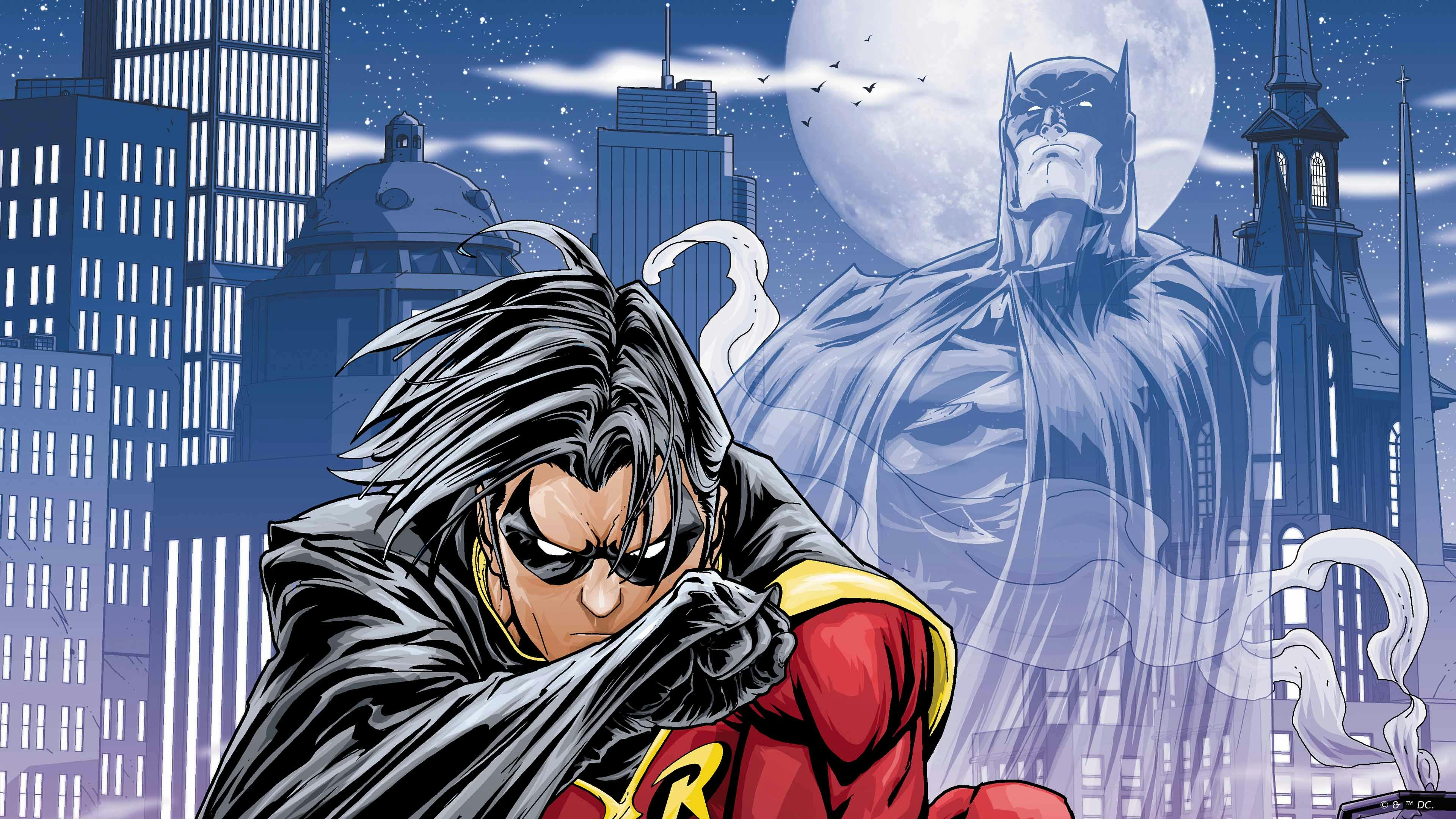 Robin: Search for a Hero