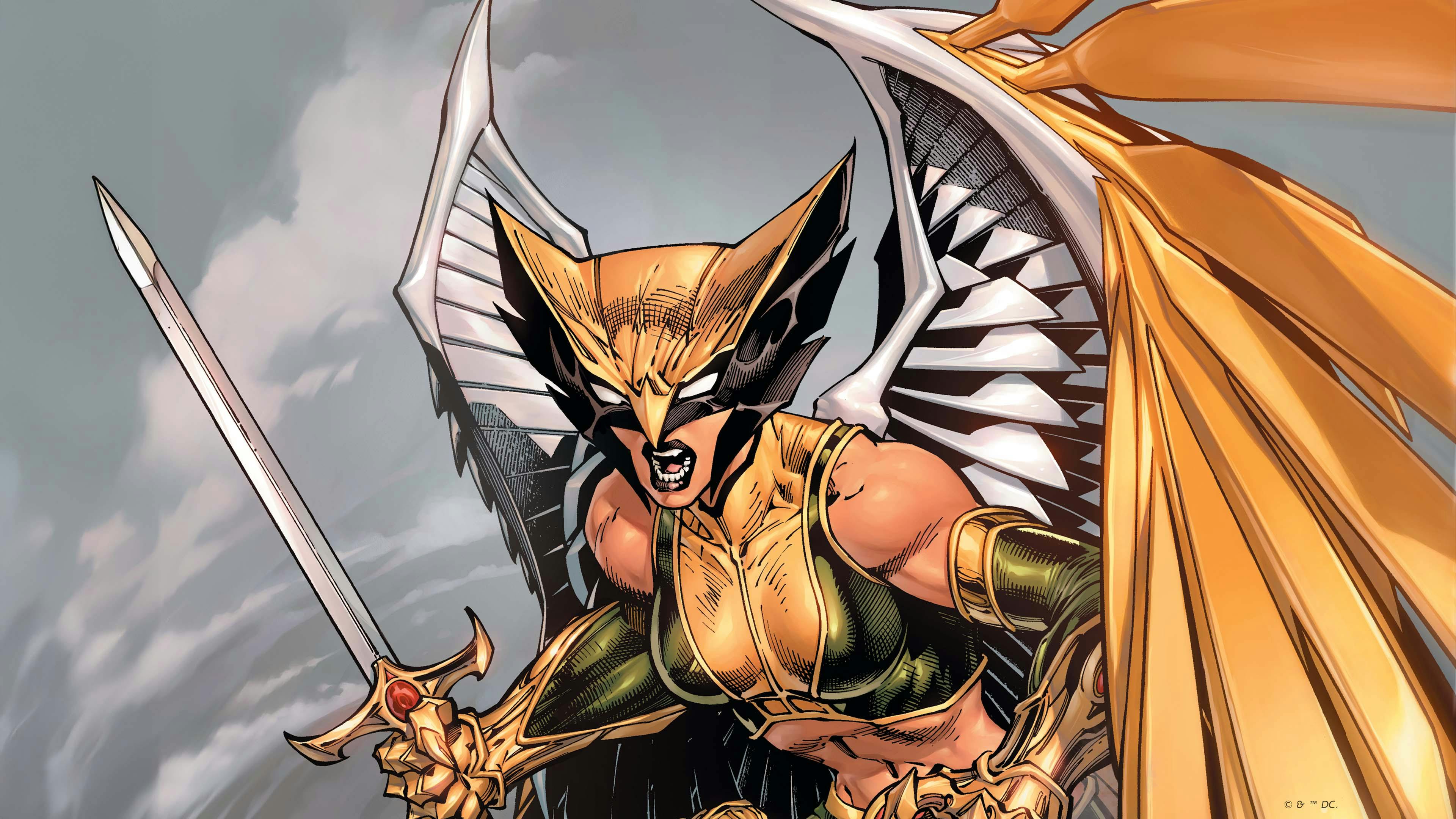 Get to Know! Hawkgirl