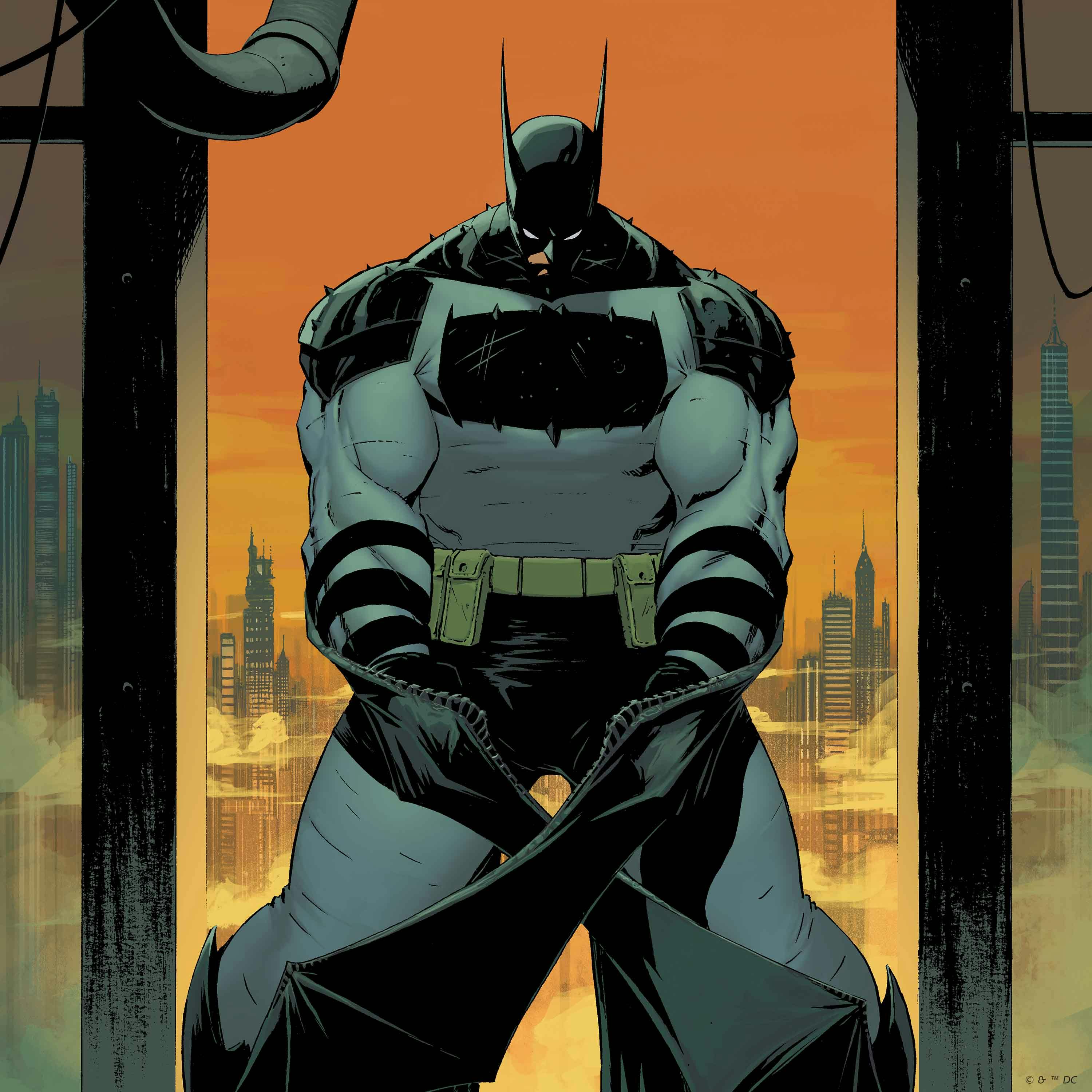 Absolute Batman: The Zoo