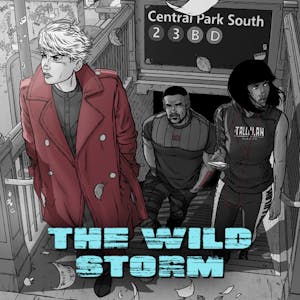 The Wild Storm