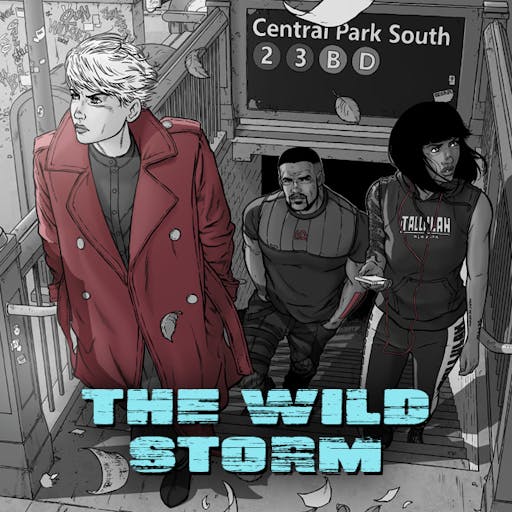 The Wild Storm