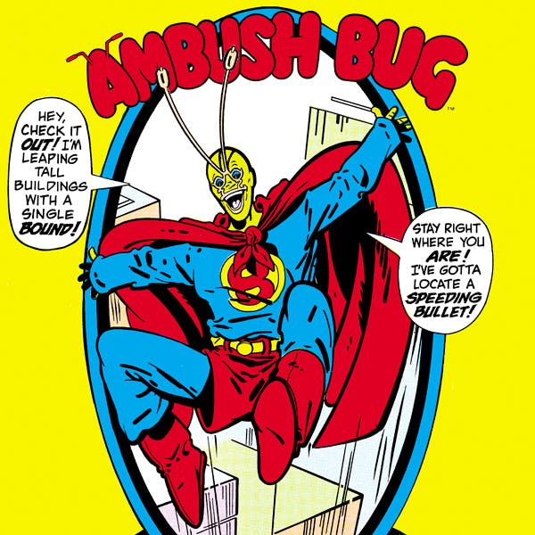 Ambush Bug
