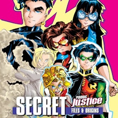 Young Justice: Secret Files