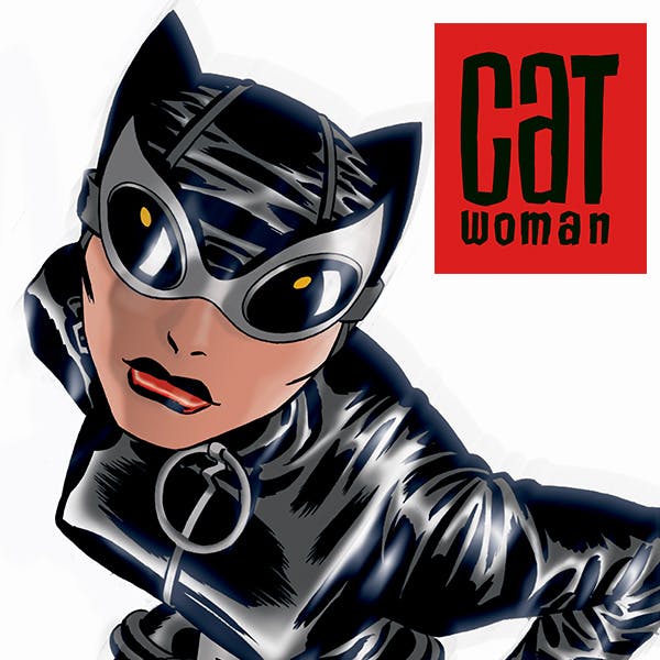 Catwoman (2002-2008) | DC Comics Series