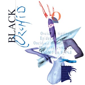 Black Orchid