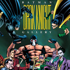 Batman: Dark Knight Gallery