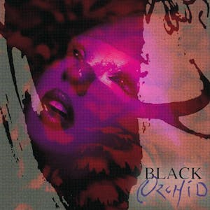 Black Orchid