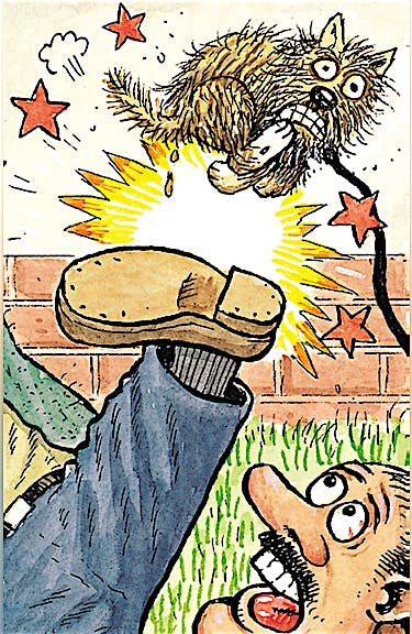 MAD SHORT CUTS - DC Go! Edition #17 preview images