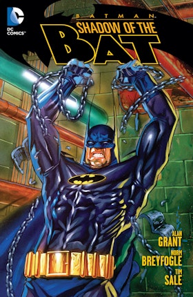 Batman: Shadow of the Bat Vol. 1