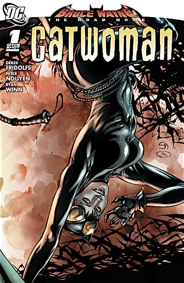 Bruce Wayne: The Road Home: Catwoman #1