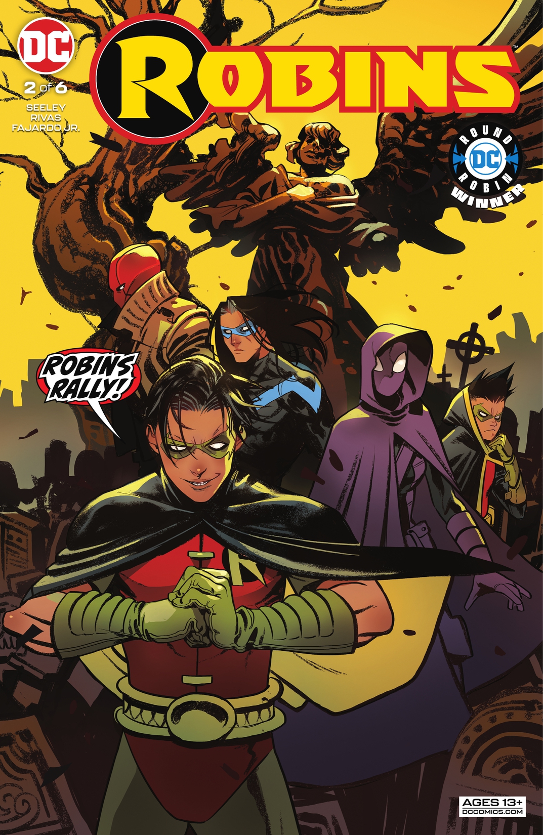 Robins #2 preview images