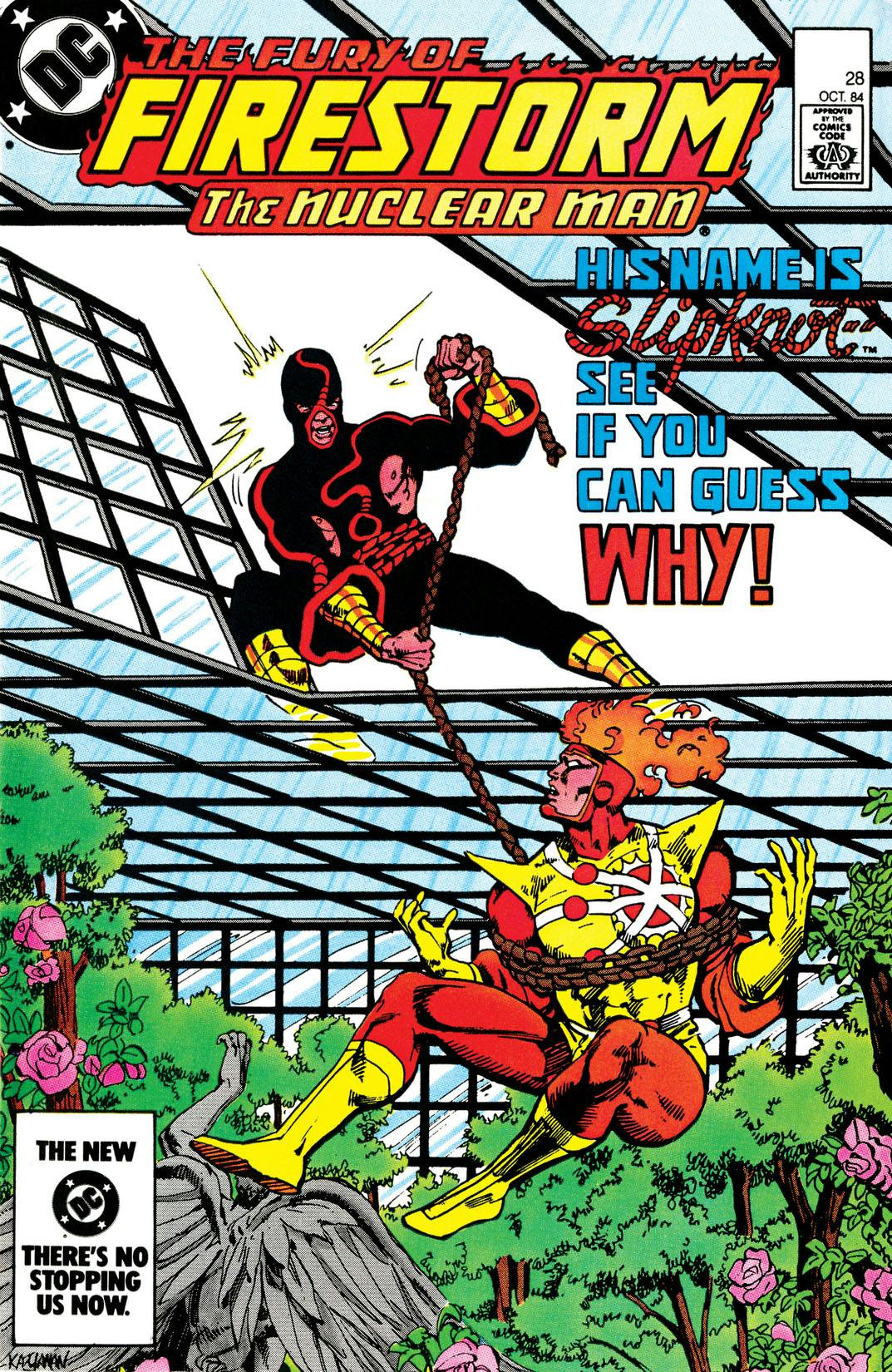 The Fury of Firestorm #28 preview images