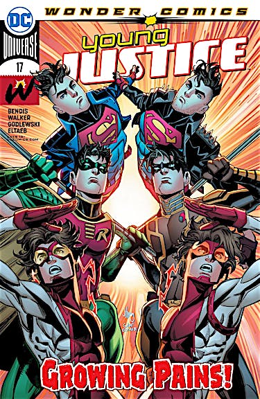 Young Justice (2019-) #17 preview images