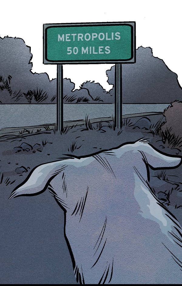 Krypto: The Last Dog of Krypton DC Go! Edition (2026-) #2