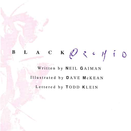 Black Orchid series preview1