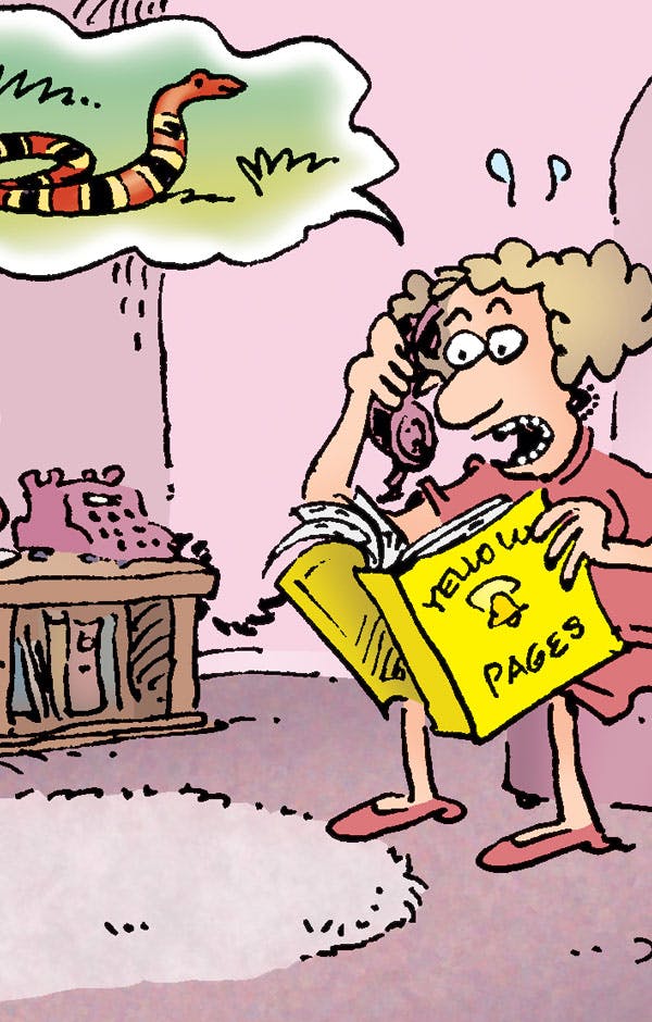 MAD - Look At - DC Go! Edition #52