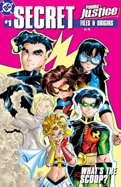 Young Justice Secret Files #1