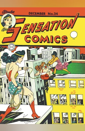 Sensation Comics #24