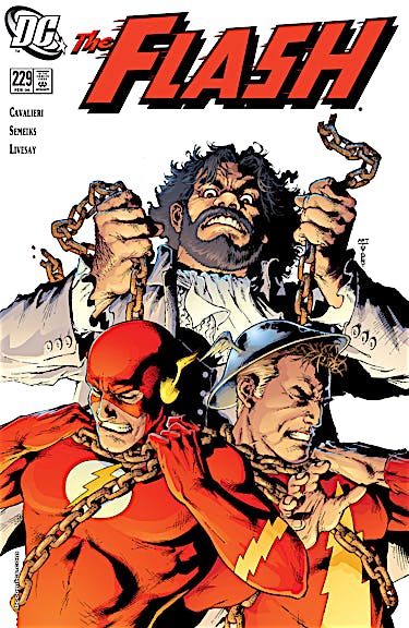The Flash (1987-) #229 preview images