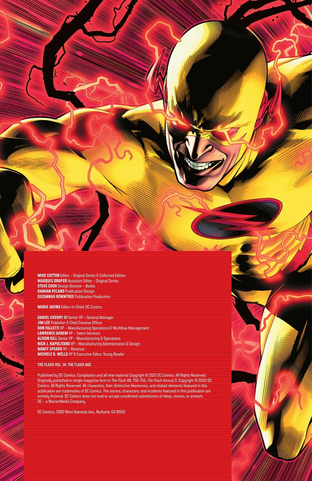 The Flash Vol. 14 The Flash Age
