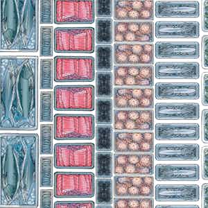 Get Jiro! series preview2