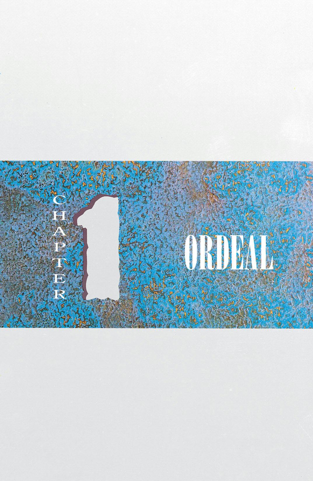 Batman: The Cult series preview2