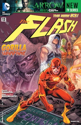 Flash (2011-) #13