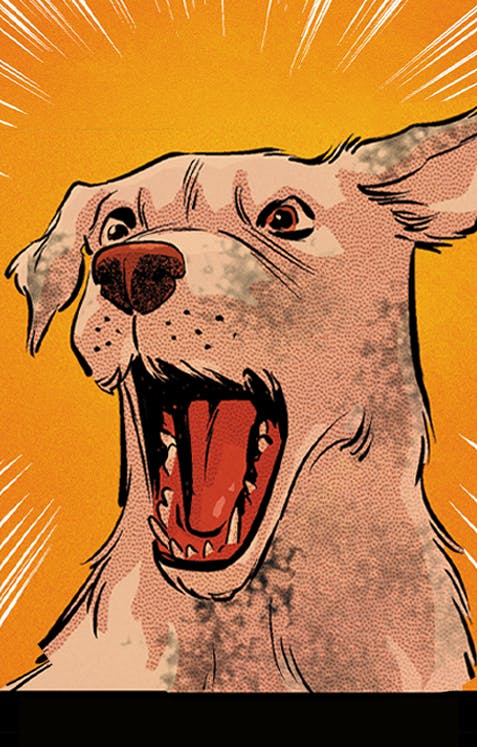Krypto: The Last Dog of Krypton DC Go! Edition (2026-) #4