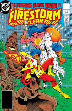 The Fury Of Firestorm DC Comics Series the-fury-of-firestorm-dc-comics-series