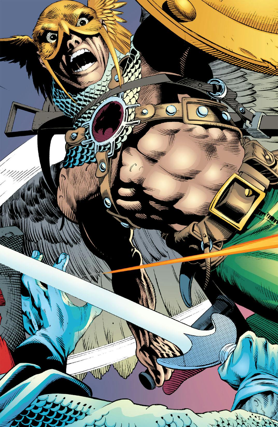 Hawkman by Geoff Johns Book Two | DC Comics Issue
