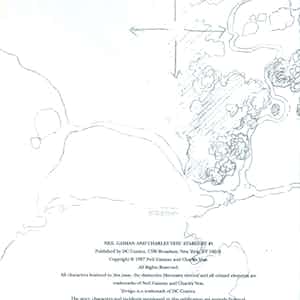 Neil Gaiman and Charles Vess' Stardust series preview1