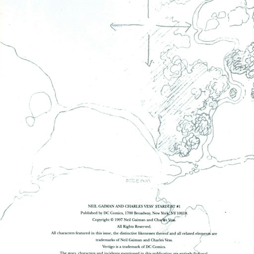 Neil Gaiman and Charles Vess' Stardust series preview1