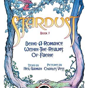 Neil Gaiman and Charles Vess' Stardust series preview2