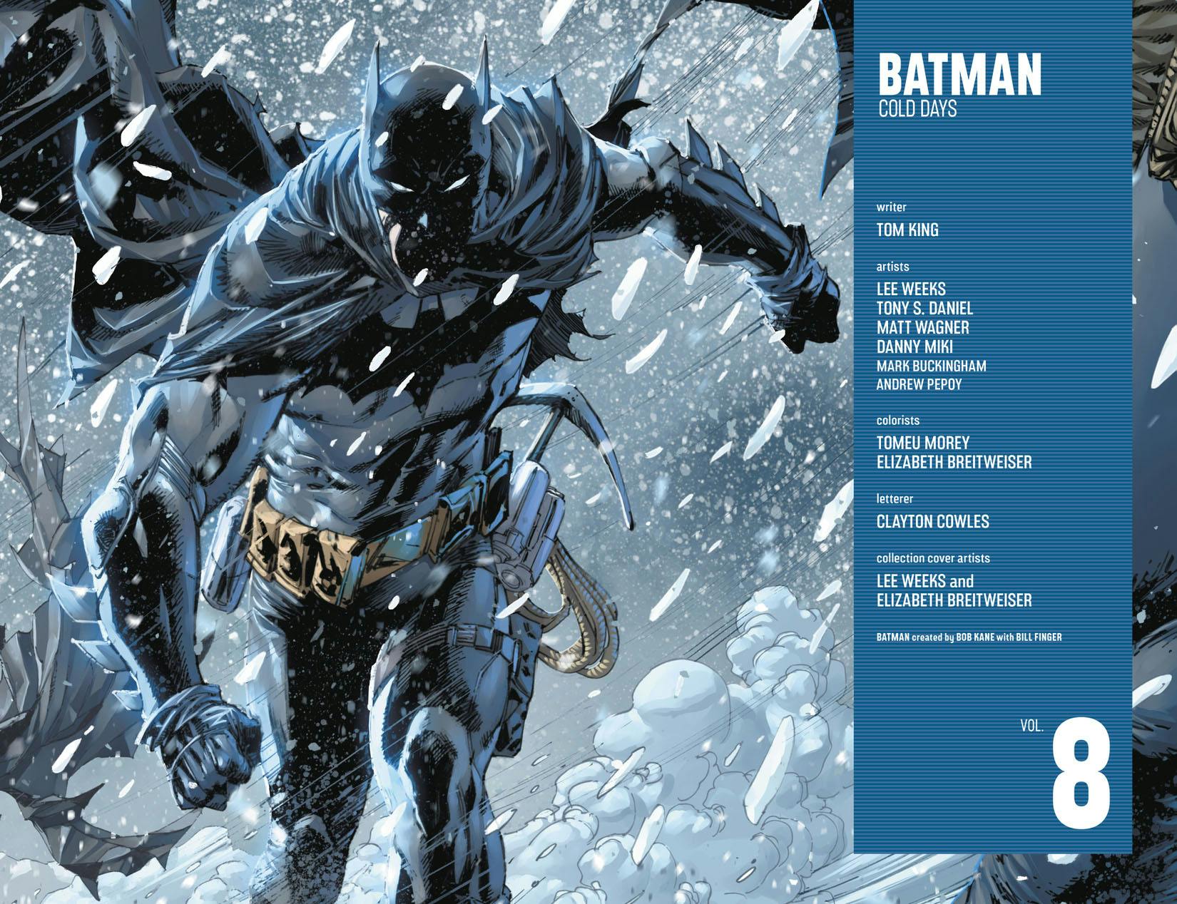 Batman Vol. 8: Cold Days