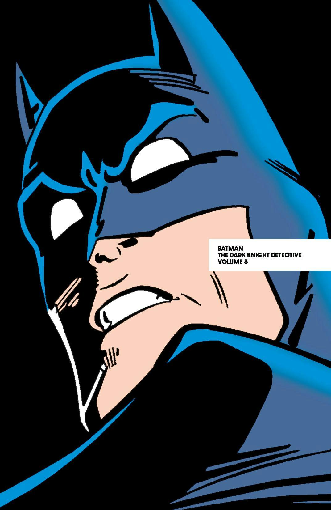 Batman: The Dark Knight Detective Vol. 3 | DC Comics Issue