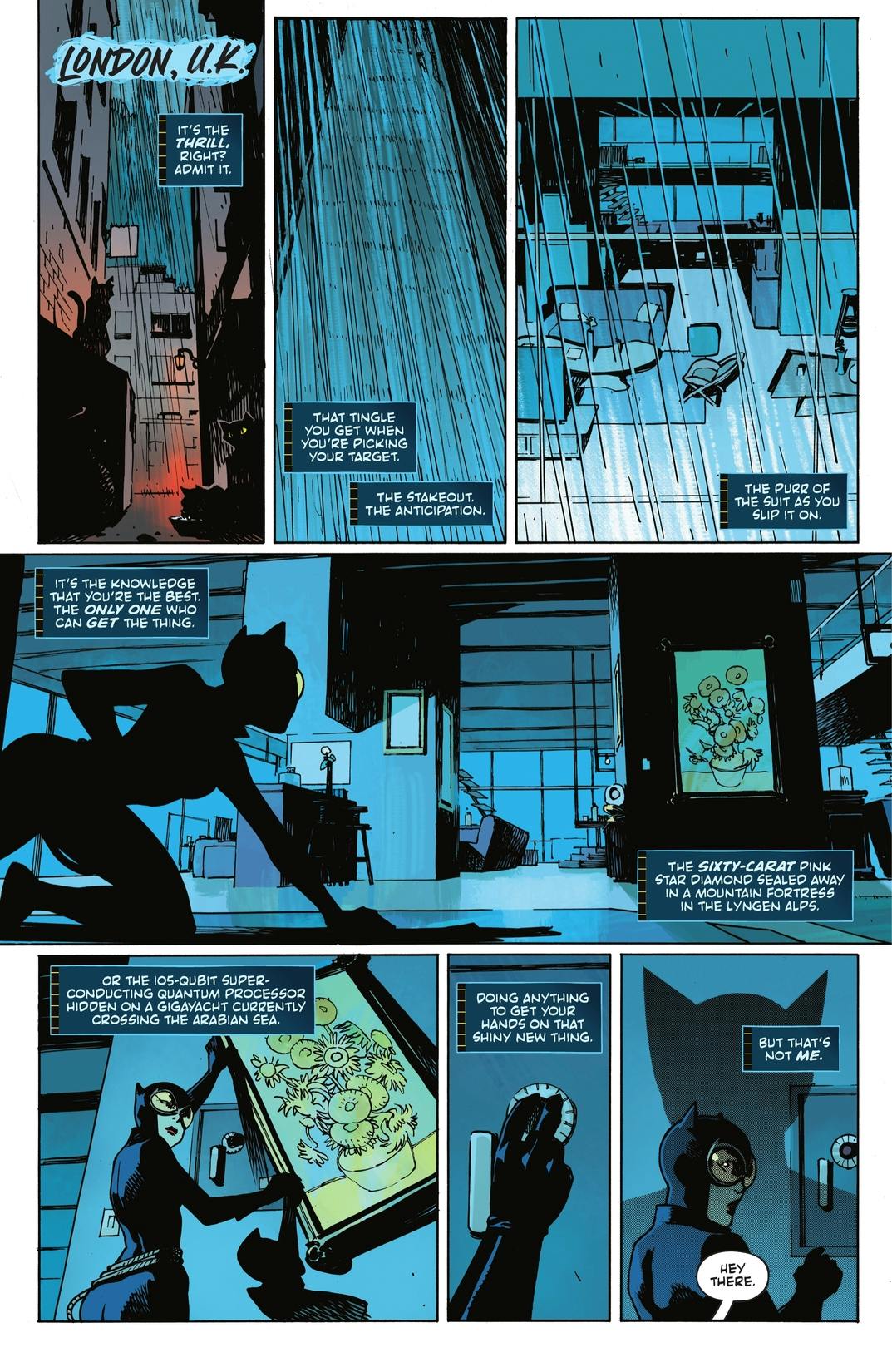 Absolute Catwoman series preview2