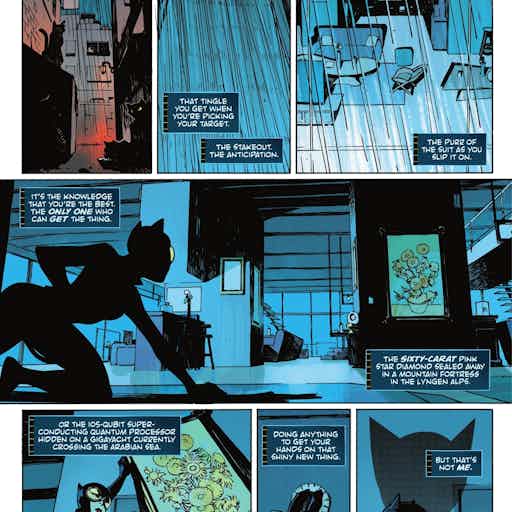 Absolute Catwoman series preview2