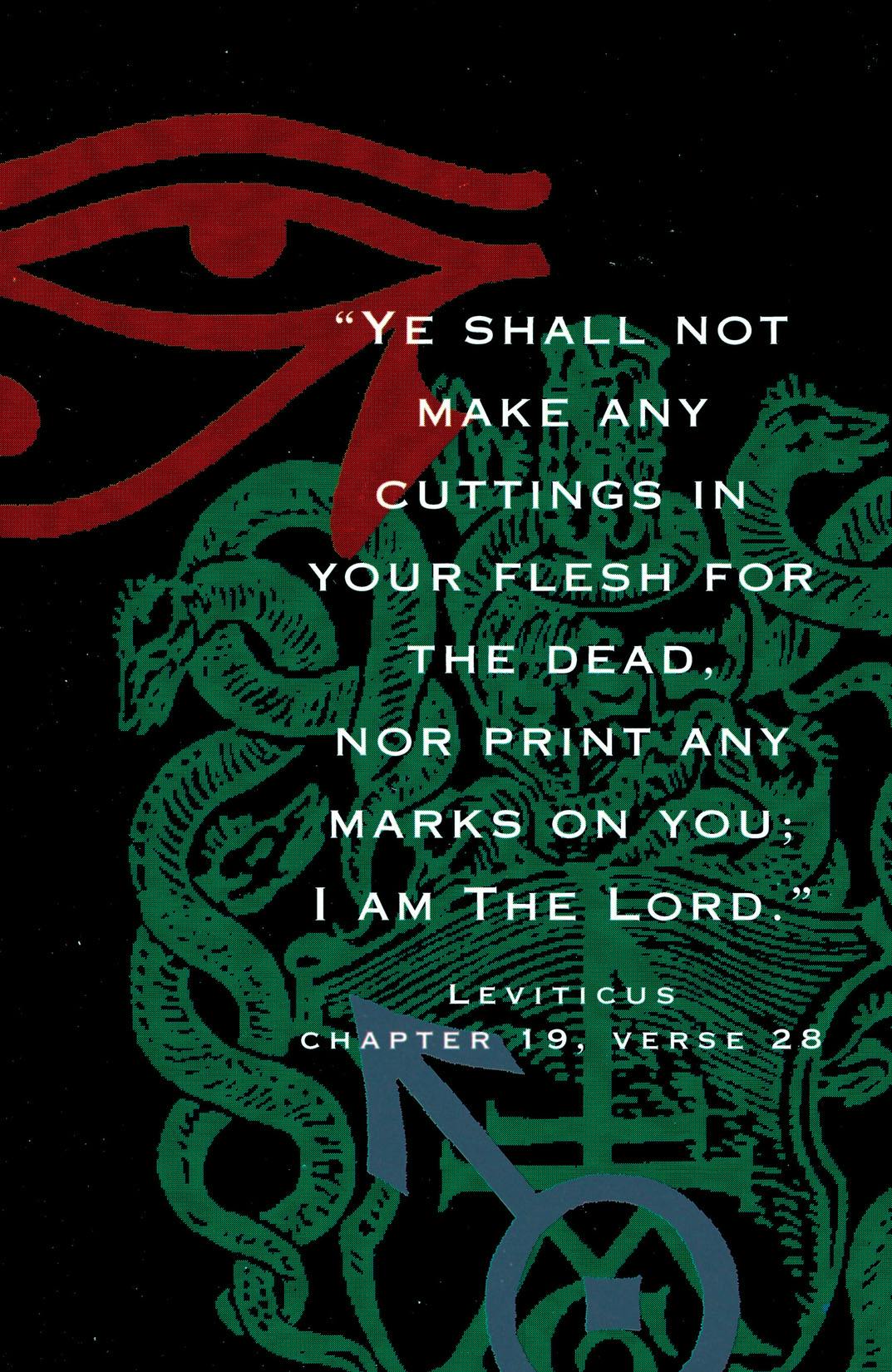 Skin Graft: The Adventures of a Tattooed Man series preview2