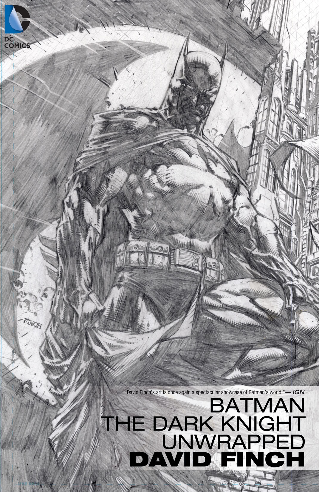 Batman: The Dark Knight Unwrapped by David Finch preview images