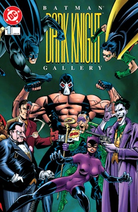 Batman: Dark Knight Gallery #1