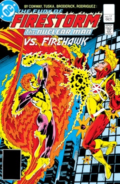 The Fury of Firestorm #17